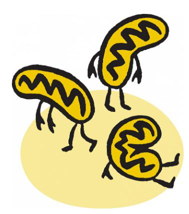 1576724637404348.jpg 1576725180(1).jpg