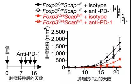 1617342162470853.jpg 微信圖片_20210402134106.jpg